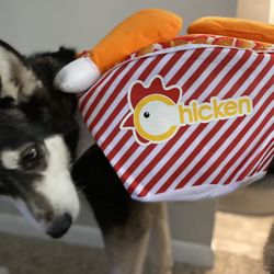 Dog Costume 