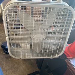 Box Fans