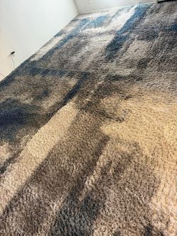 Carpet