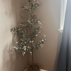 Fake Olive Tree 