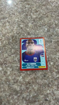 FIFA World Cup stickers
