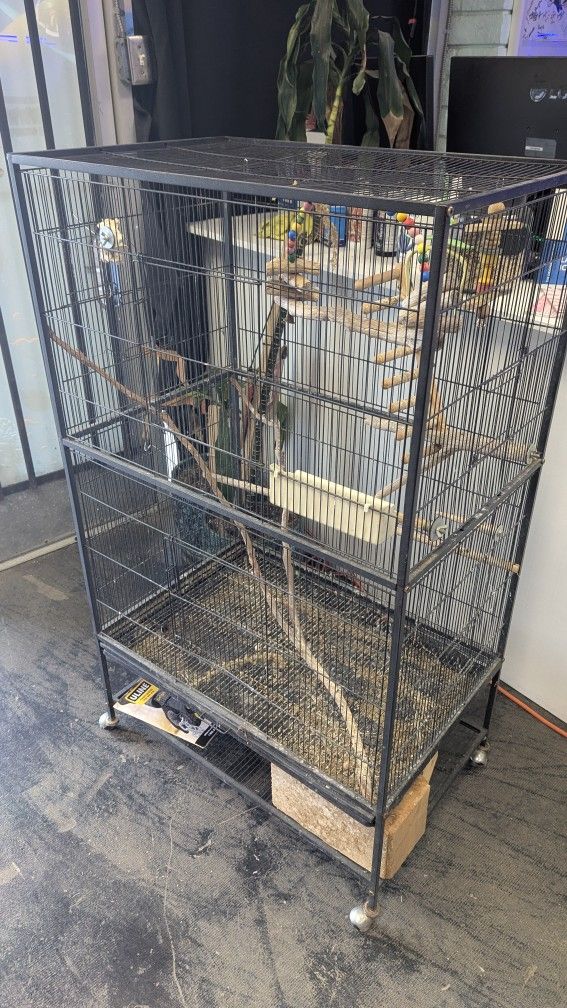 Bird Cage