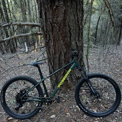 Poseidon Norton Hardtail Mountain Bike