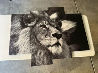 Black and White Lion Canva home wall decor