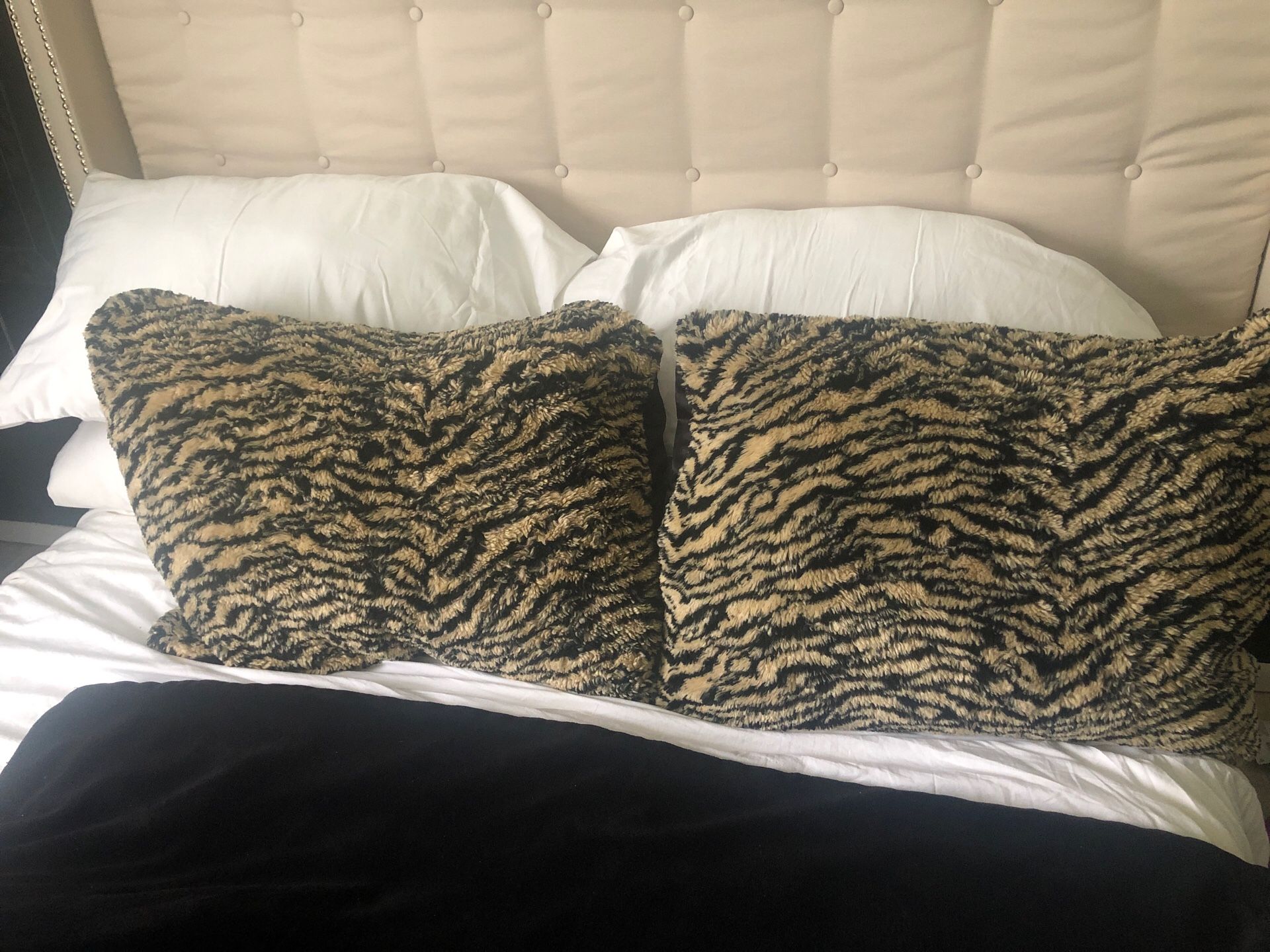 Shams, Pillow (standard) animal/tiger king print