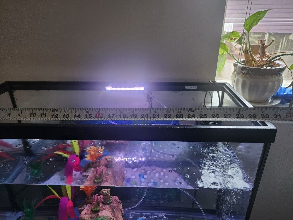 Fish Tank