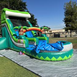 Tropical Fall Slide