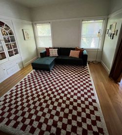 8 x 10 ft Checkered Area Rug