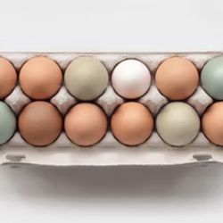 Different Color Eggs