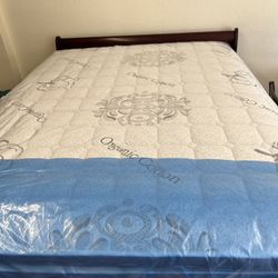 Queen Double Pillowtop New Mattresses New Pillowtop New Memory Foam New Bed Frames Nuevo Colchones Camas Nuevas ‼️ 