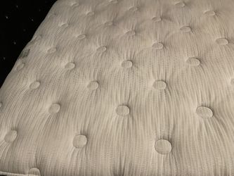 Queen Bed