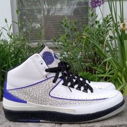 Jordan 2 Concord Size 13