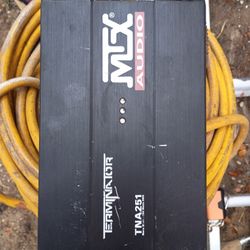 Amp 250 Watt Mtx Audio Terminator 