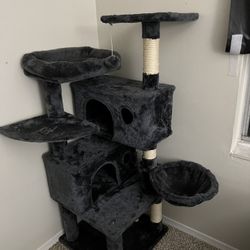 cat tree 