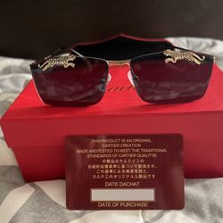 Cartier Men’s Sunglasses