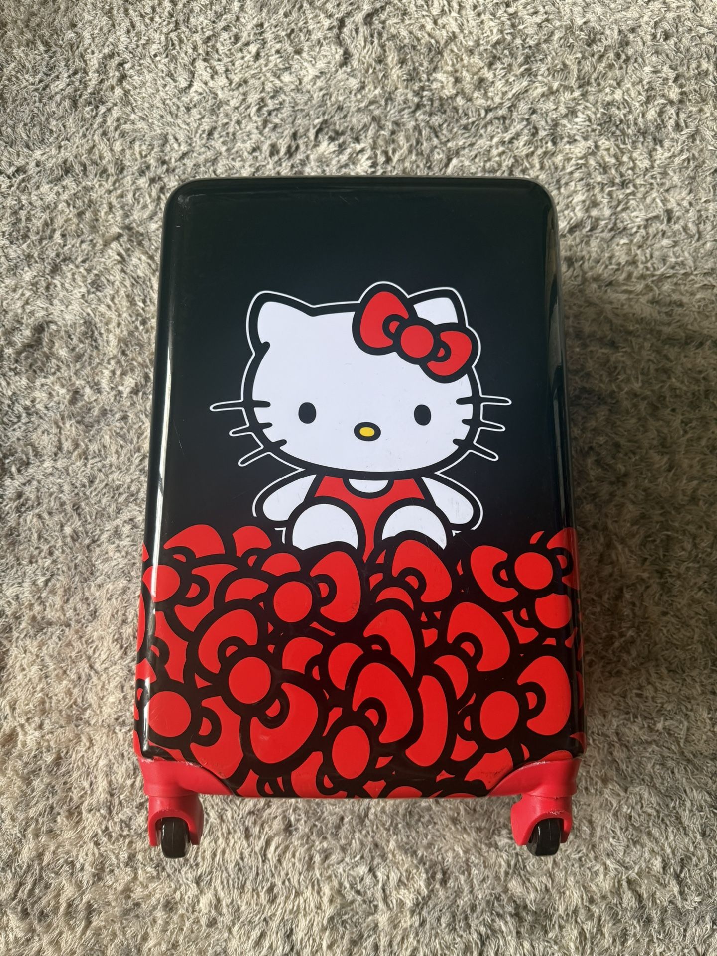 Carry On Luggage/ Maleta
