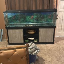 125 Gallon Tank Complete With Fx4 Filter And Cabinet