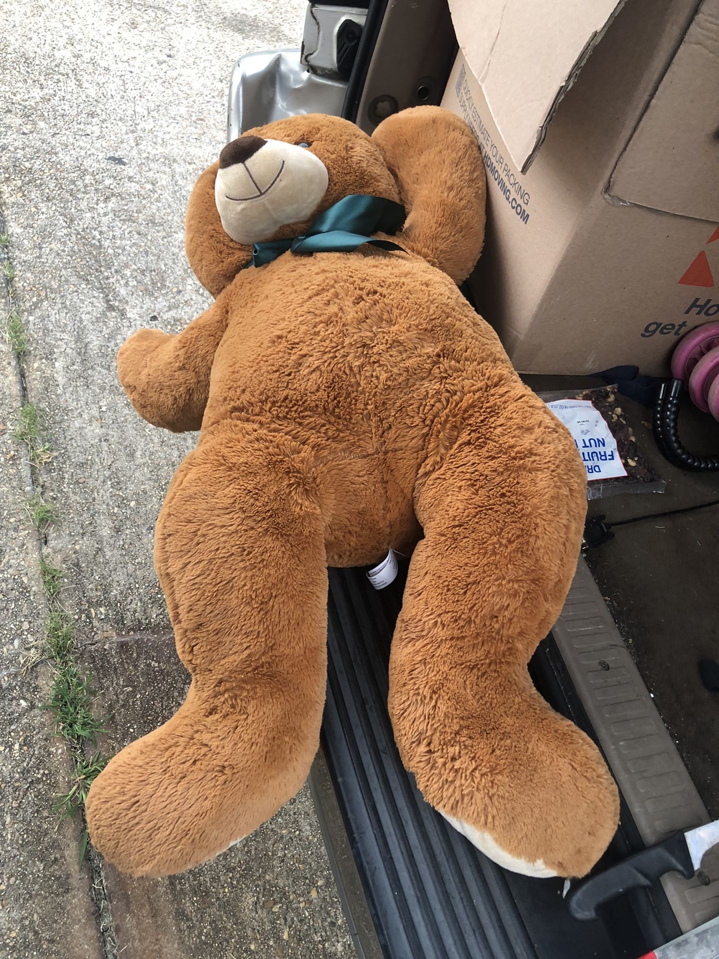 Big Teddy  Bear 