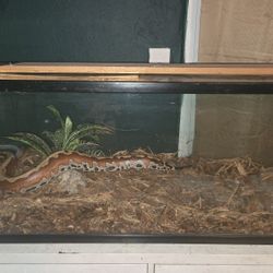 Reptile Enclosure 