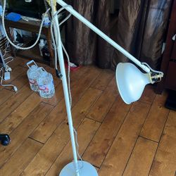 Lamp + Light Bulb 
