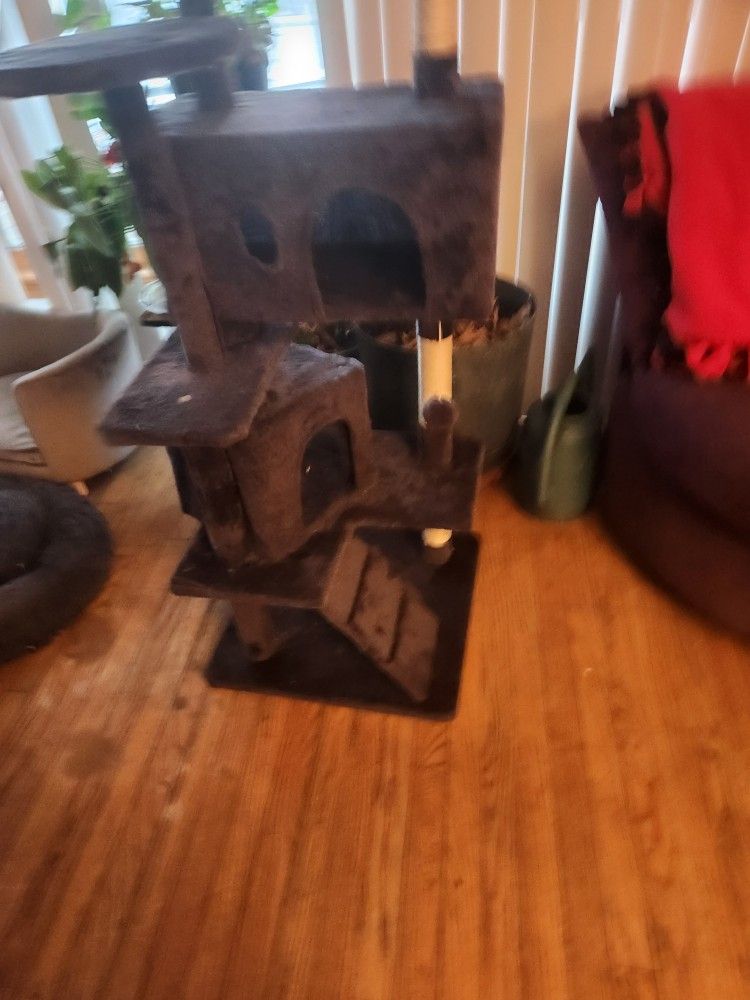 Cat Play Gym