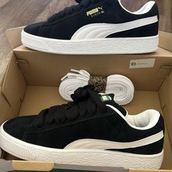 Pumas