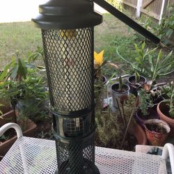 SQUIRREL  BUSTER PINUTS .  SQUIRREL PROOF , BIRD FEEDER/ Woodpecker Friendly. Hold 1-3 Lb Of Nuts