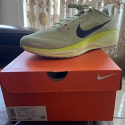 AIR ZOOM PEGASUS 41
