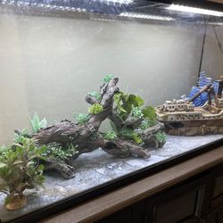 55 Gallon Aquarium all Inclusive 