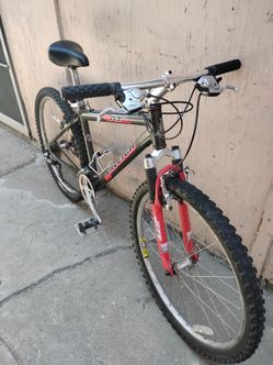 Raleigh mountain bike