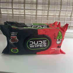 Dude Disposable Wipes