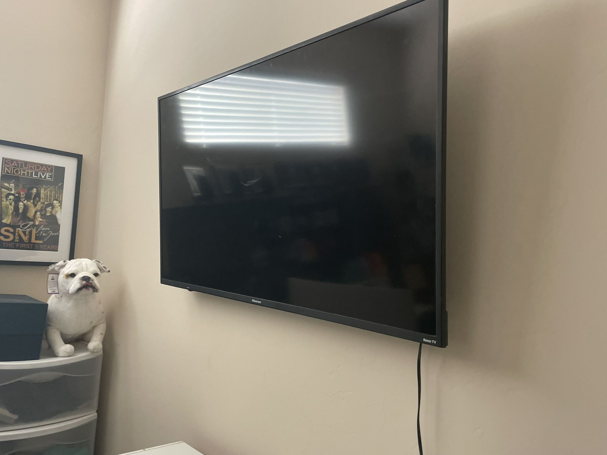 50 Inch Hisense TV with Built In Roku