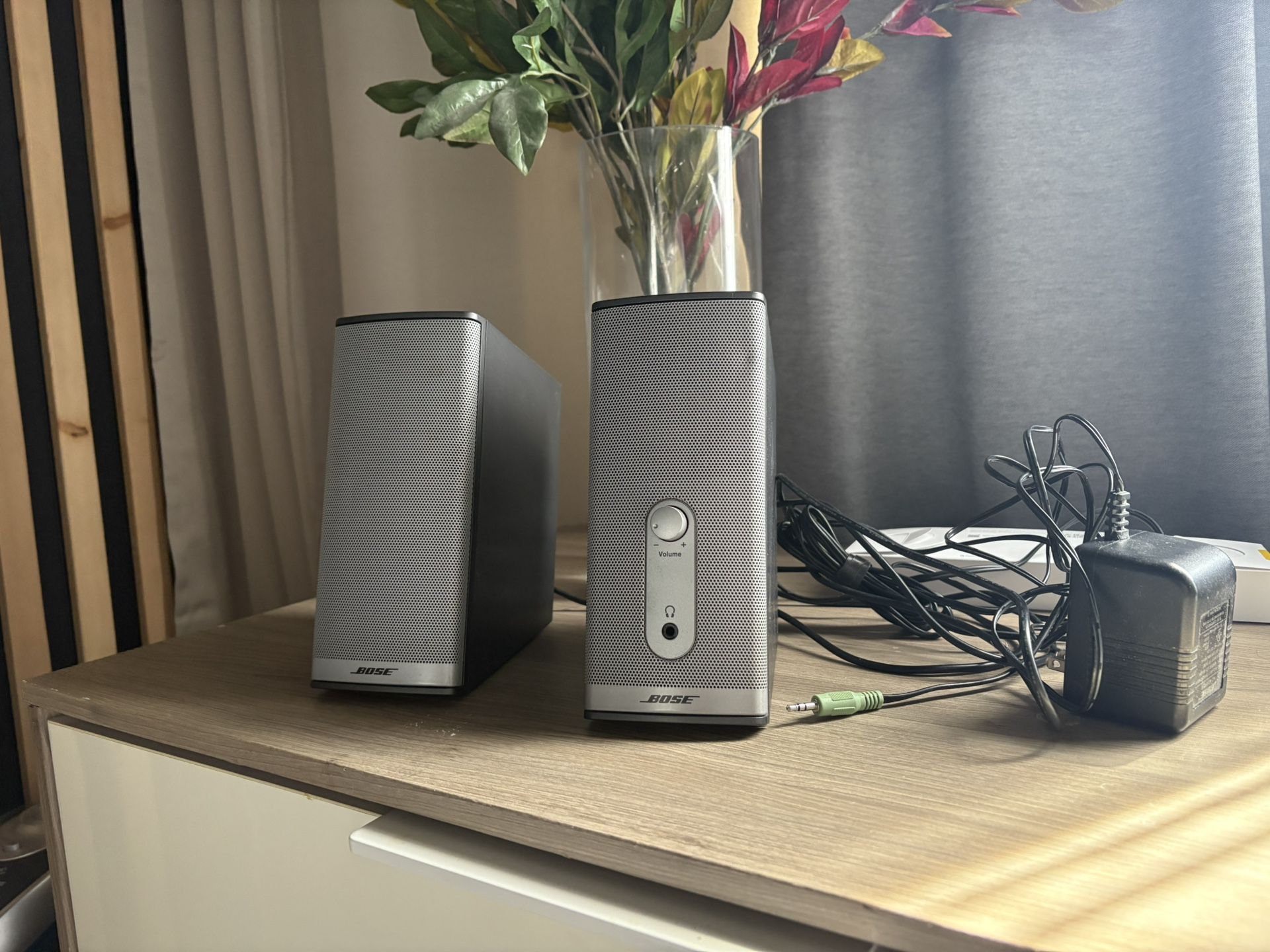 Bose Companion