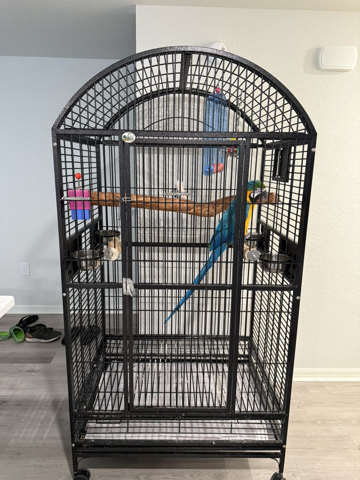 Macaw (cage)