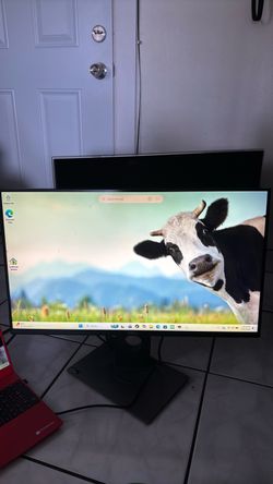 Dell Computer Monitor S2716DG