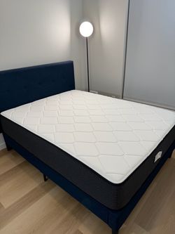Brooklyn Bedding Plank Luxe Firm Mattress - Queen