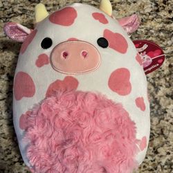 Evangelica Squishmallow 