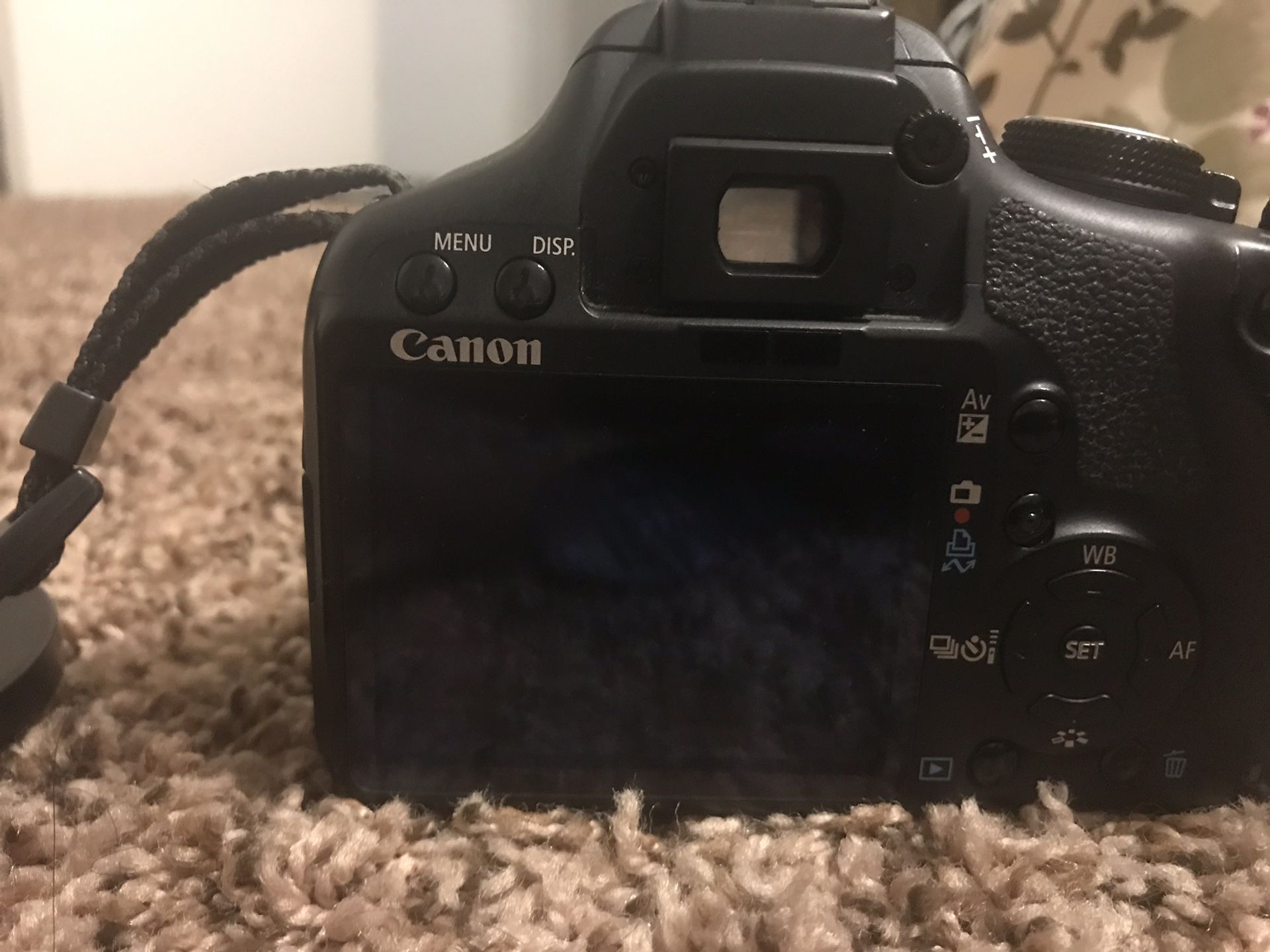 Canon 500D with 75-300mm canon lens