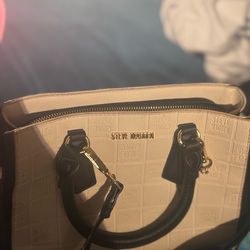 Steve Madden Purse