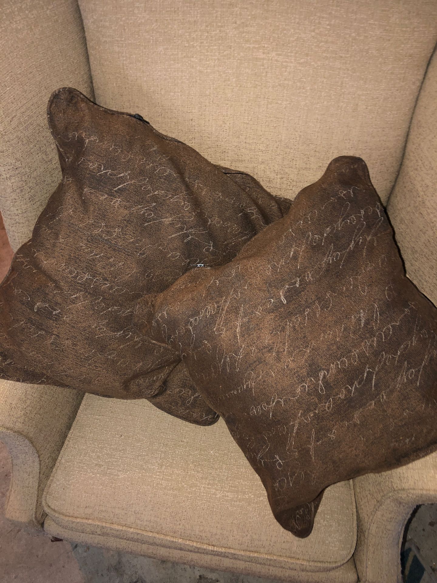 2 Brown Decretive Pillows