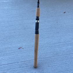 Falcon Fishing Rod