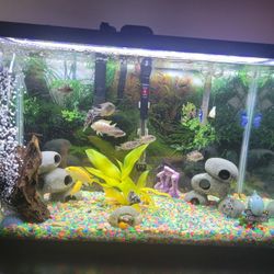 Aquarium 