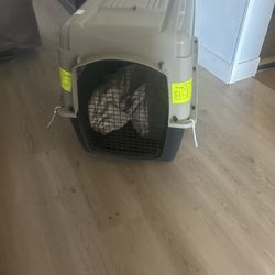 Dog Kennel 