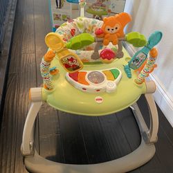 FisherPrice Space Saver Jumperoo