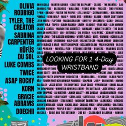 Lollapalooza 2025 4 Day Wristband Ticket 