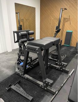 Rogue Fitness Donkey GHD and Reverse Hyper