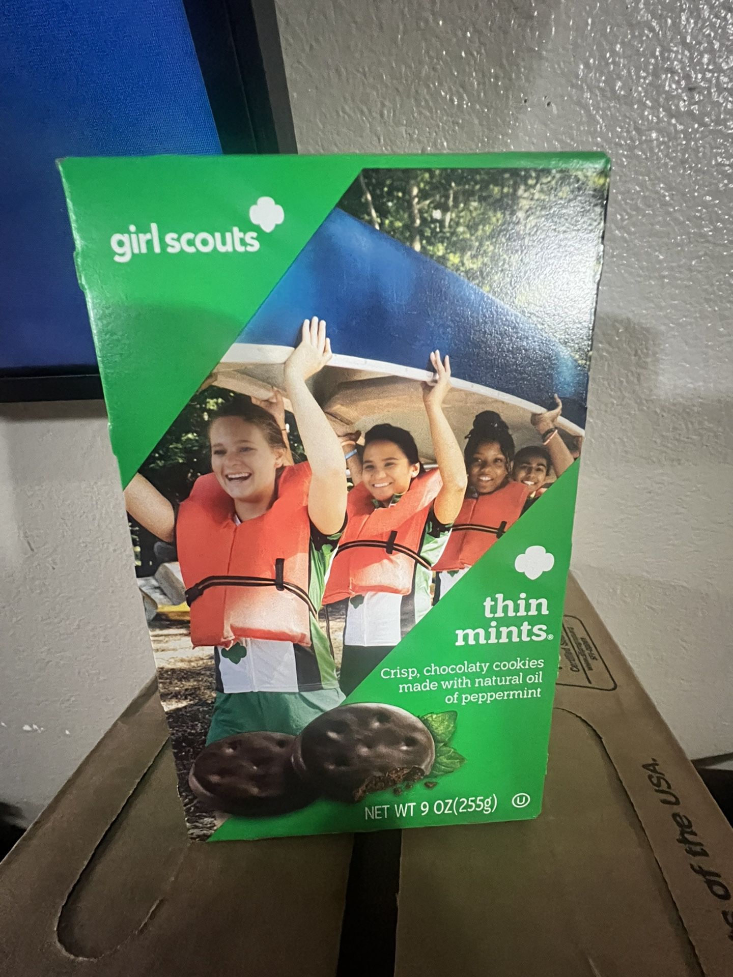 Selling Girl Scout Cookies 