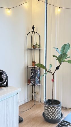 Black Plant Trellis Obelisk