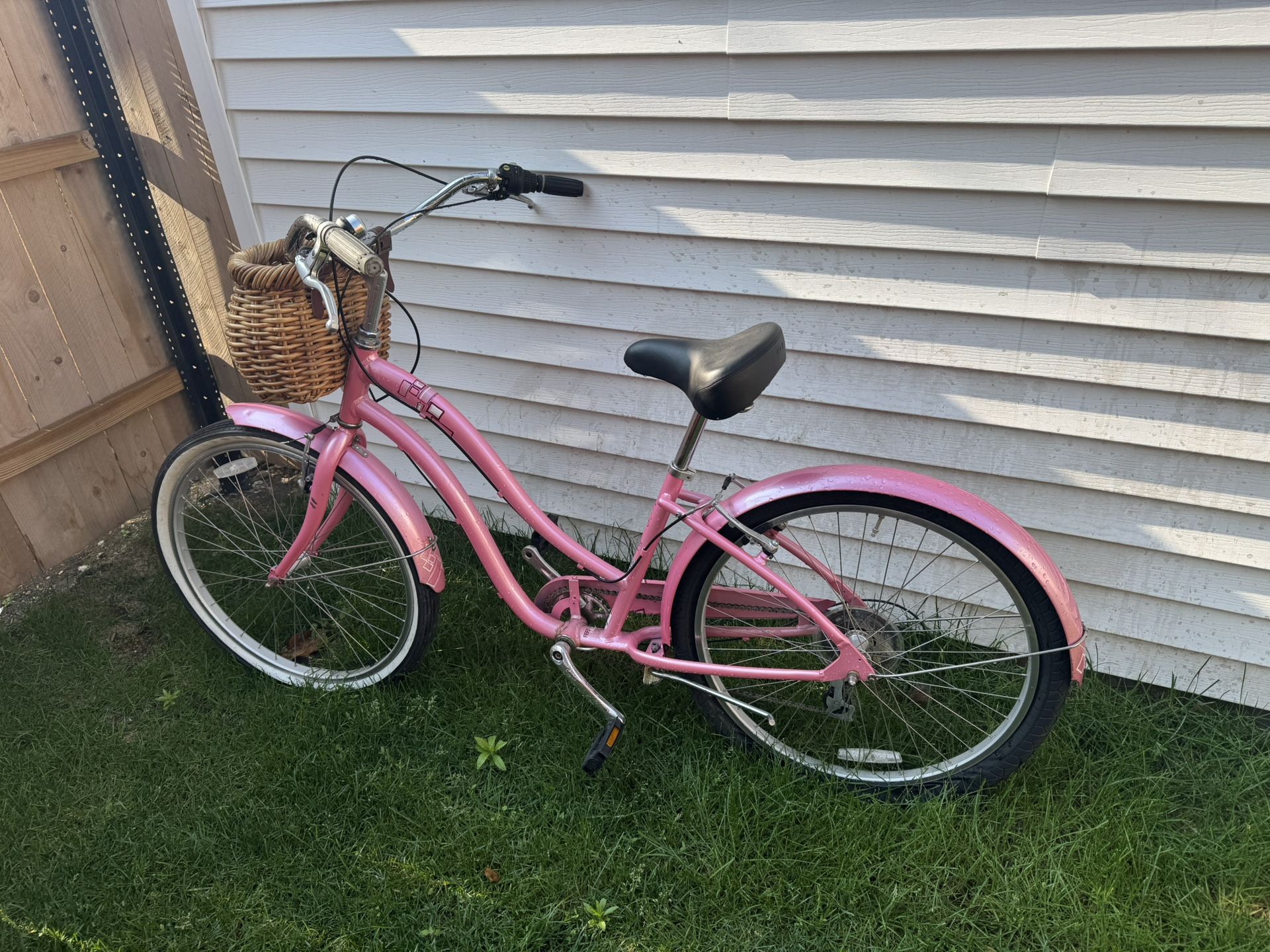 Trek Women’s Retro Bike