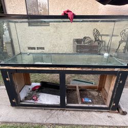 180 Gallon Fish Tank/aquarium